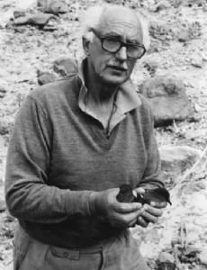 Paul Alexander Zino