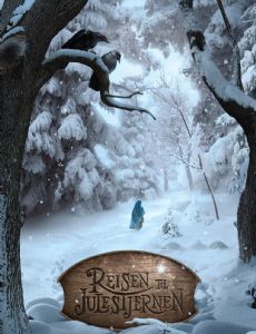 Journey to the Christmas Star