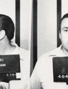 Roy DeMeo