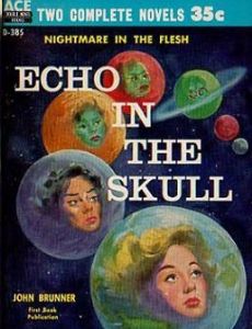 Echo in the Skull