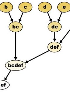 Taxonomy (general)