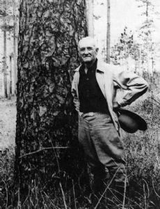 Herbert L. Stoddard