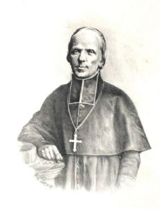 Henri-Marie-Gaston Boisnormand de Bonnechose