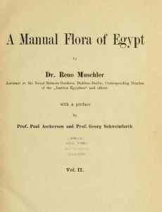 Reinhold Conrad Muschler