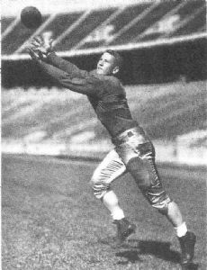 Merle Wendt