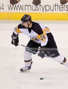 Beau Geisler
