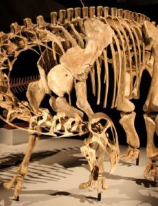 Nigersaurus