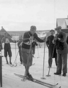 Ole Stenen
