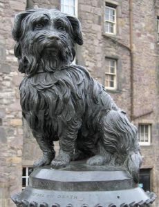 William Law (Lord Provost)