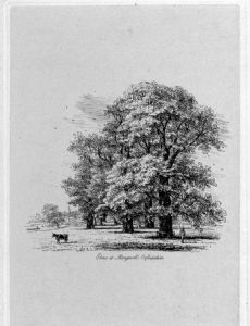 Jacob George Strutt