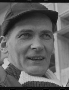 Stein Johnson