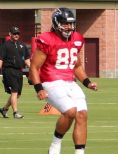 D. J. Tialavea