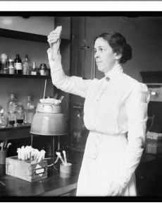 Alice Catherine Evans