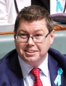 Pat Conroy (politician)
