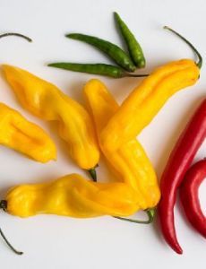 Chili pepper