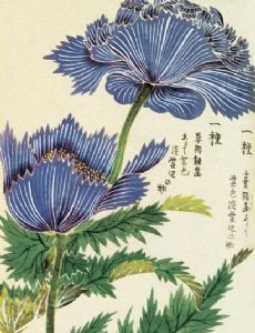 Iwasaki Tsunemasa