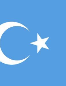 East Turkestan independence movement