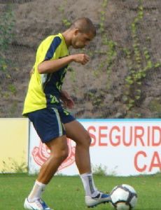 Pollo