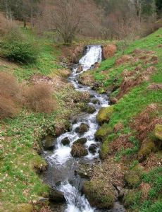 Dawyck Botanic Garden