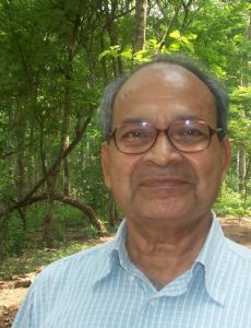 Anand (writer)