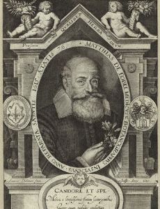 Matthias de l'Obel