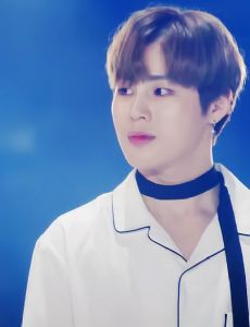 Ha Sung-woon