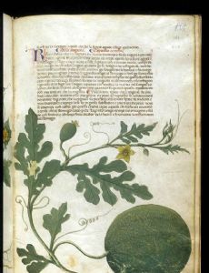 Serapion the Younger