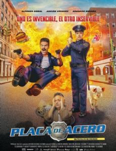 Placa de Acero