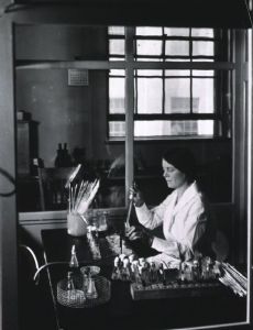 Ida A. Bengtson