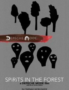 Spirits in the Forest