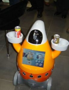 Domestic robot