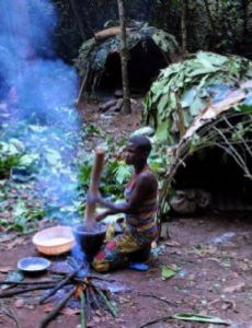Hunter-gatherer