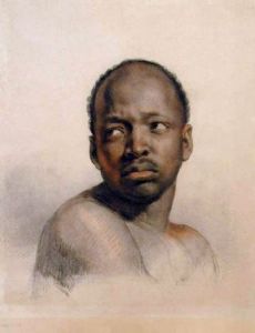 Henri van der Haert