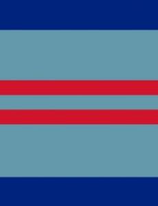 Air vice-marshal