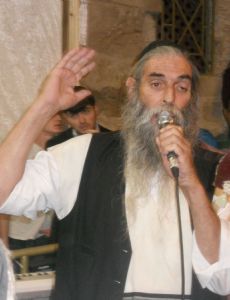Dov Shurin