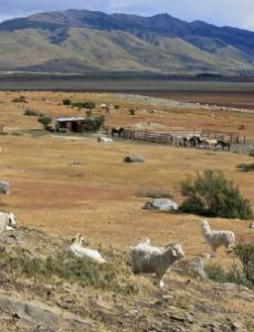 Estancia