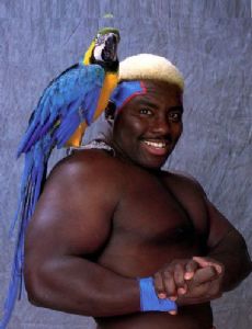 Koko B. Ware