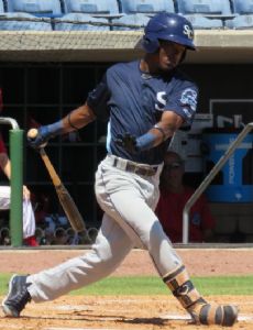 Tampa Bay Rays minor league players