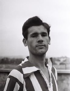 Tihomir Ognjanov