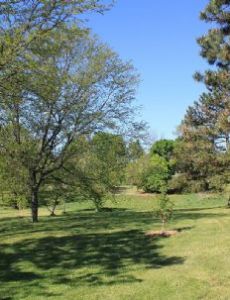 Buhr Park