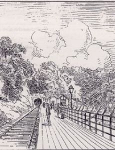 Samuel Loxton