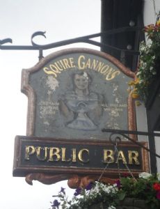 Bill Gannon (Gaelic footballer)