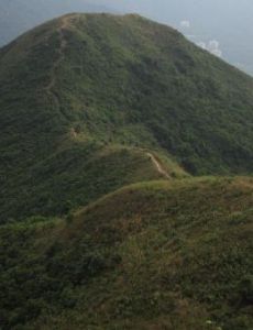 Lam Tsuen Country Park