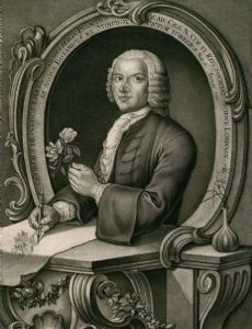 Georg Dionysius Ehret