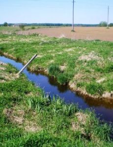 Indija (river)
