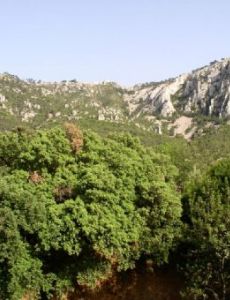 Mont Faron