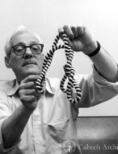 Jerome Vinograd