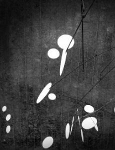 Snow Flurry (design)