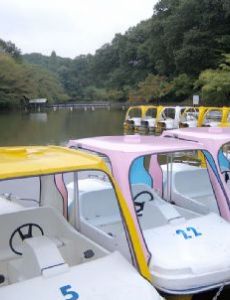 Kodomonokuni Theme Park
