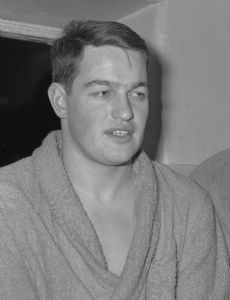 Wim van Spingelen